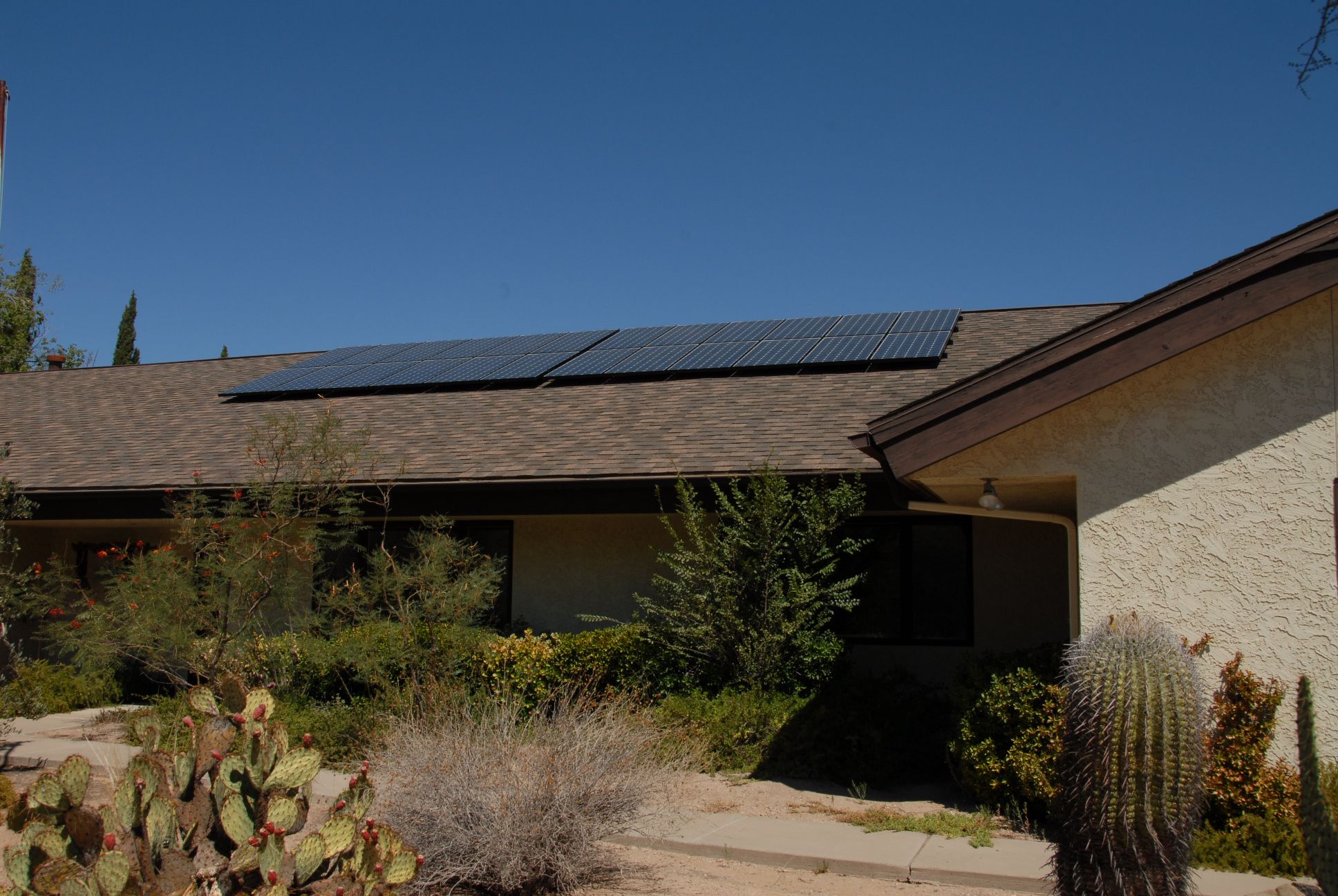 Solar panels on house with plants Solar panels on house with plants